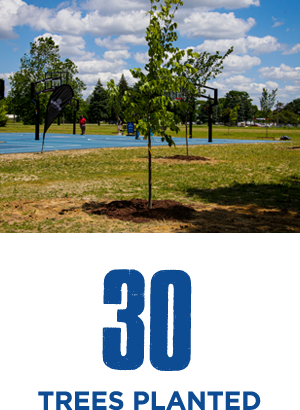 30 Trees Planted