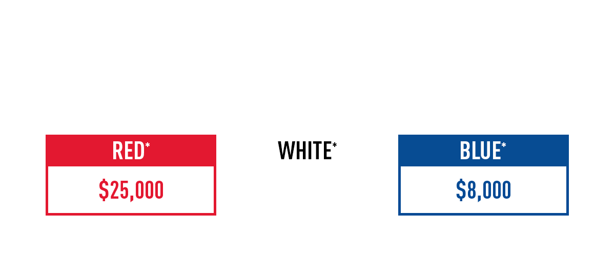 BECOME A CHAMPION | There are three levels of community champions, Red, White and Blue. Red $25,000; White $16,000; Blue: $8,000